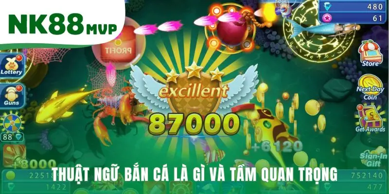 Thuật ngữ bắn cá là nền tảng kỹ năng cho người mới